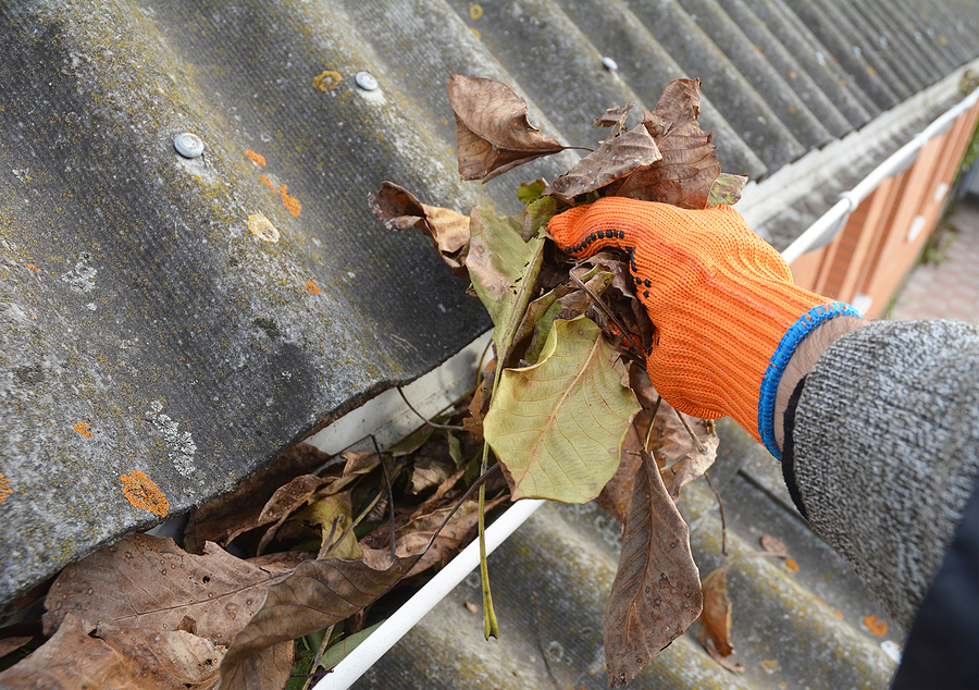 Top Fall Tips To Prepare Your Garden For Winter
